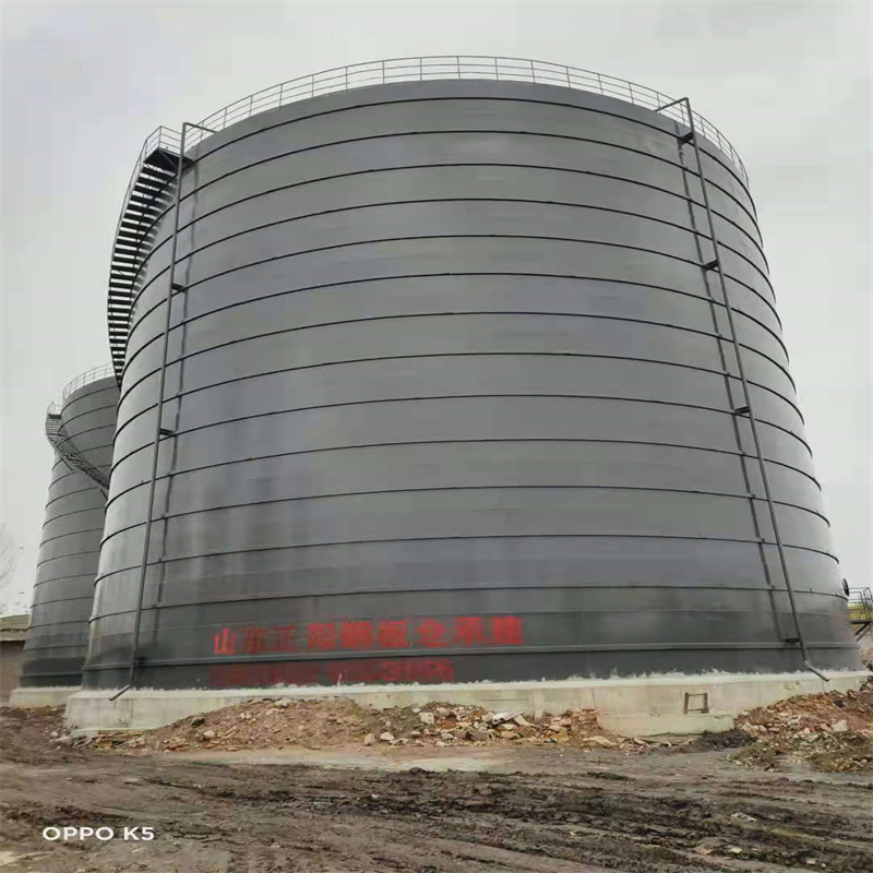 泌阳3万吨大型钢板库